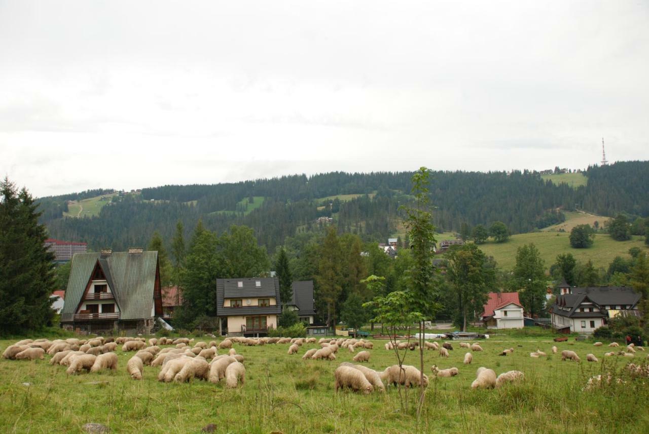 Na Wierchu I Na Wierchu Dovolenkový dom